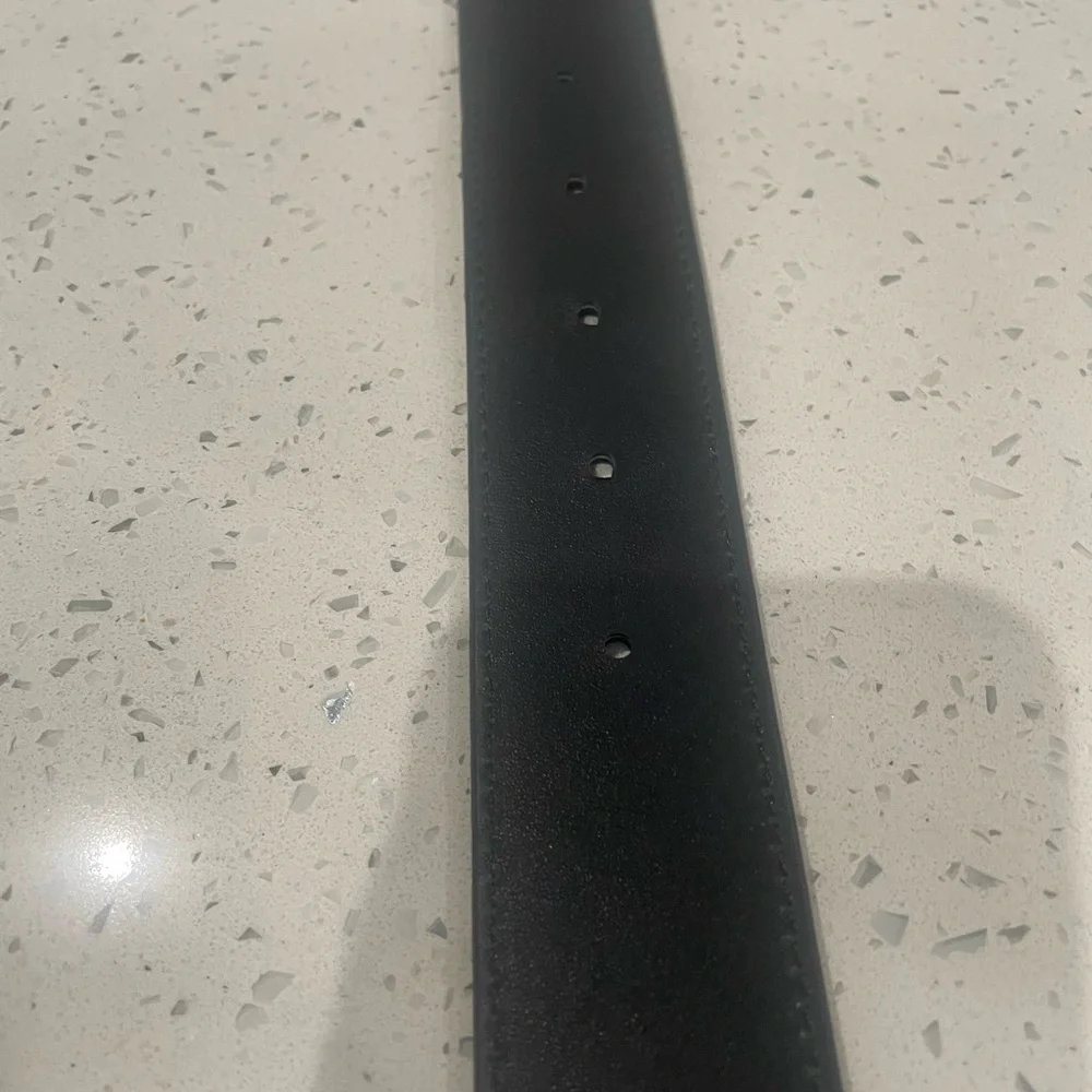 Helsa Logo Belt $150 Retail